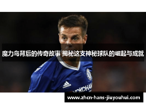 魔力鸟背后的传奇故事 揭秘这支神秘球队的崛起与成就 魔力鸟背后的传奇故事 揭秘这支神秘球队的崛起与成就
